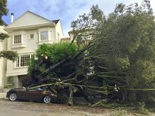 screen shot 2019-01-13 at 6.23.38 pm