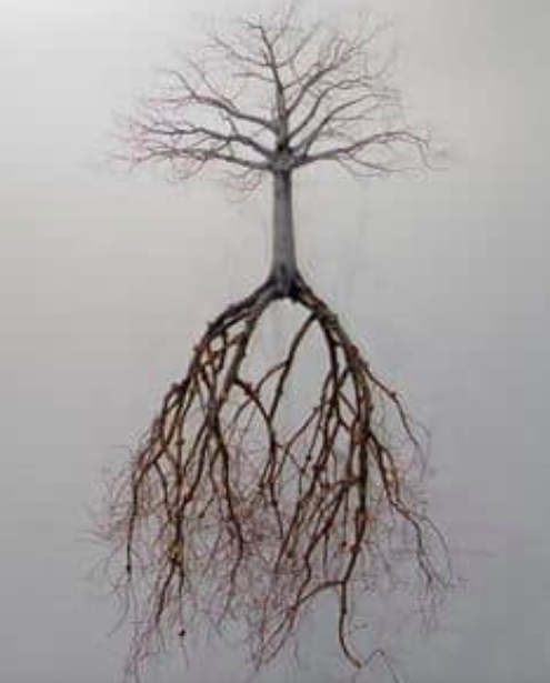 New Pains, Old Roots – The Blyss Catalyst