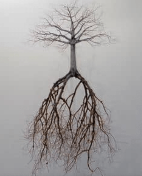 screen shot 2019-01-13 at 6.36.11 pm