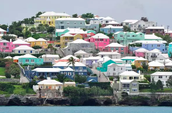 Screen Shot 2019-02-03 at 4.16.34 PM